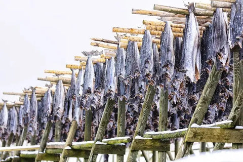 viking food dried herrings